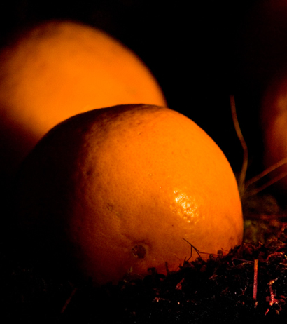 external image claroscuro.-cl.jpg